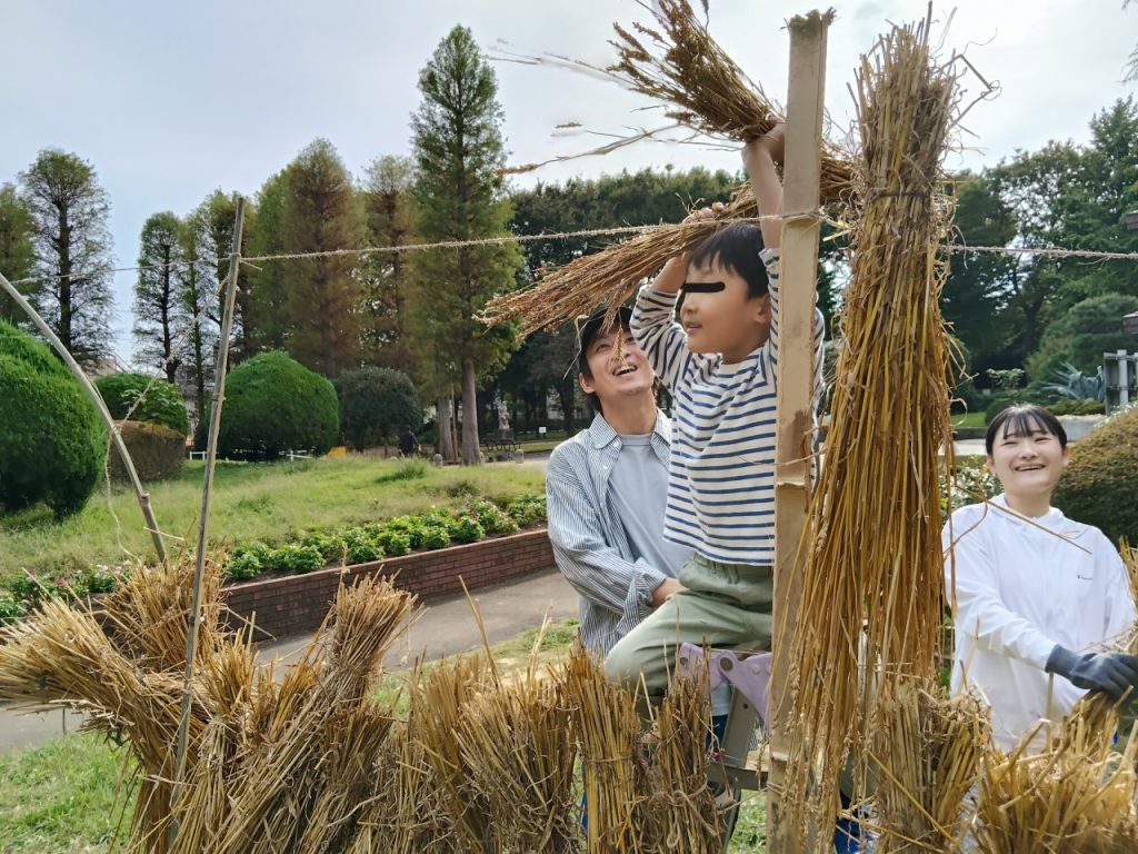 麦わらで壁づくり